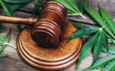 Marijuana & the Title Industry: Where Are We Now?